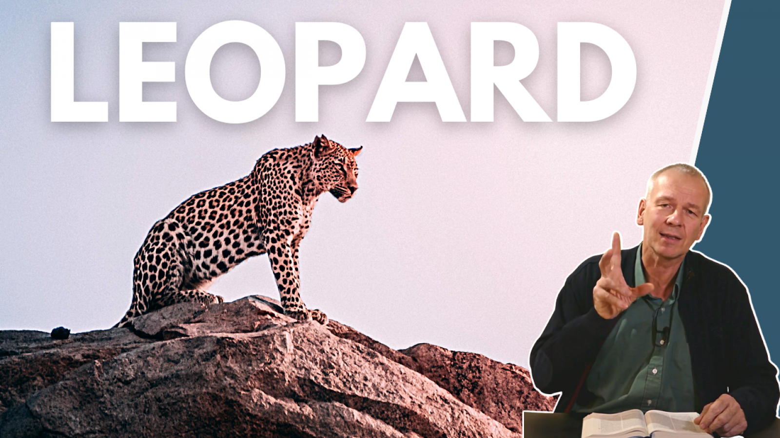 Tiere der Bibel - Der Leopard