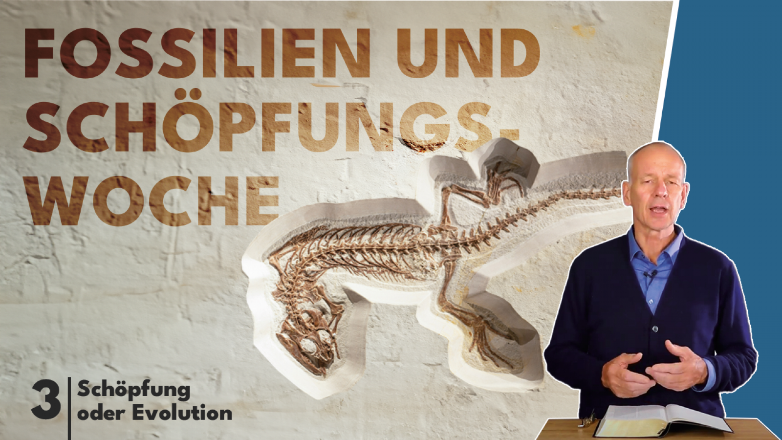 Gibt es einen Zusammenhang zwischen der Schöpfungswoche und den Erdschichten?