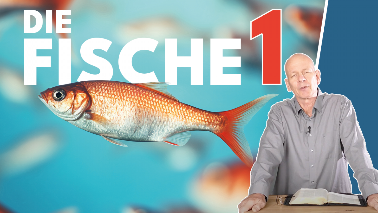 Tiere der Bibel - Die Fische - Teil 1