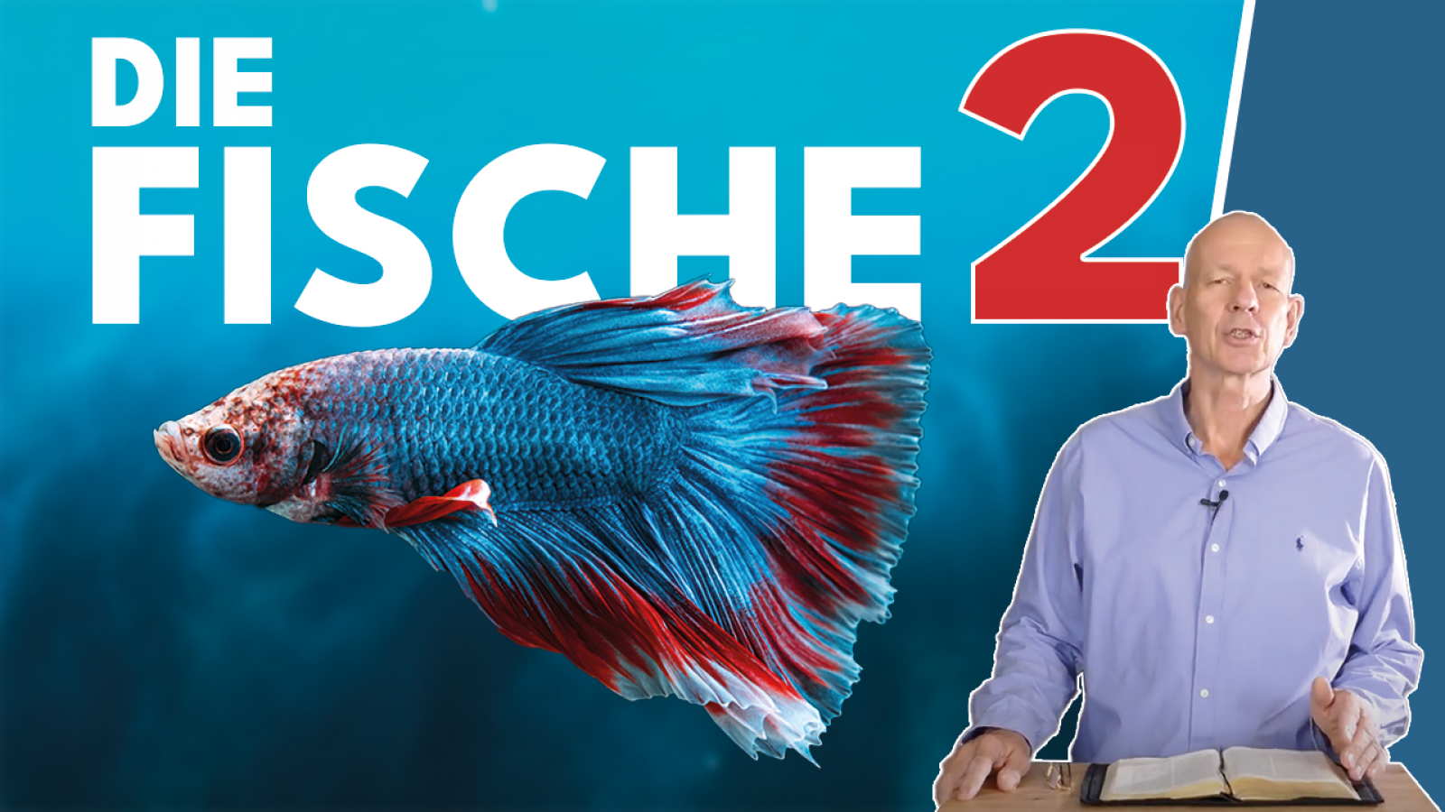 Die seltsamsten Fische der Weltgeschichte