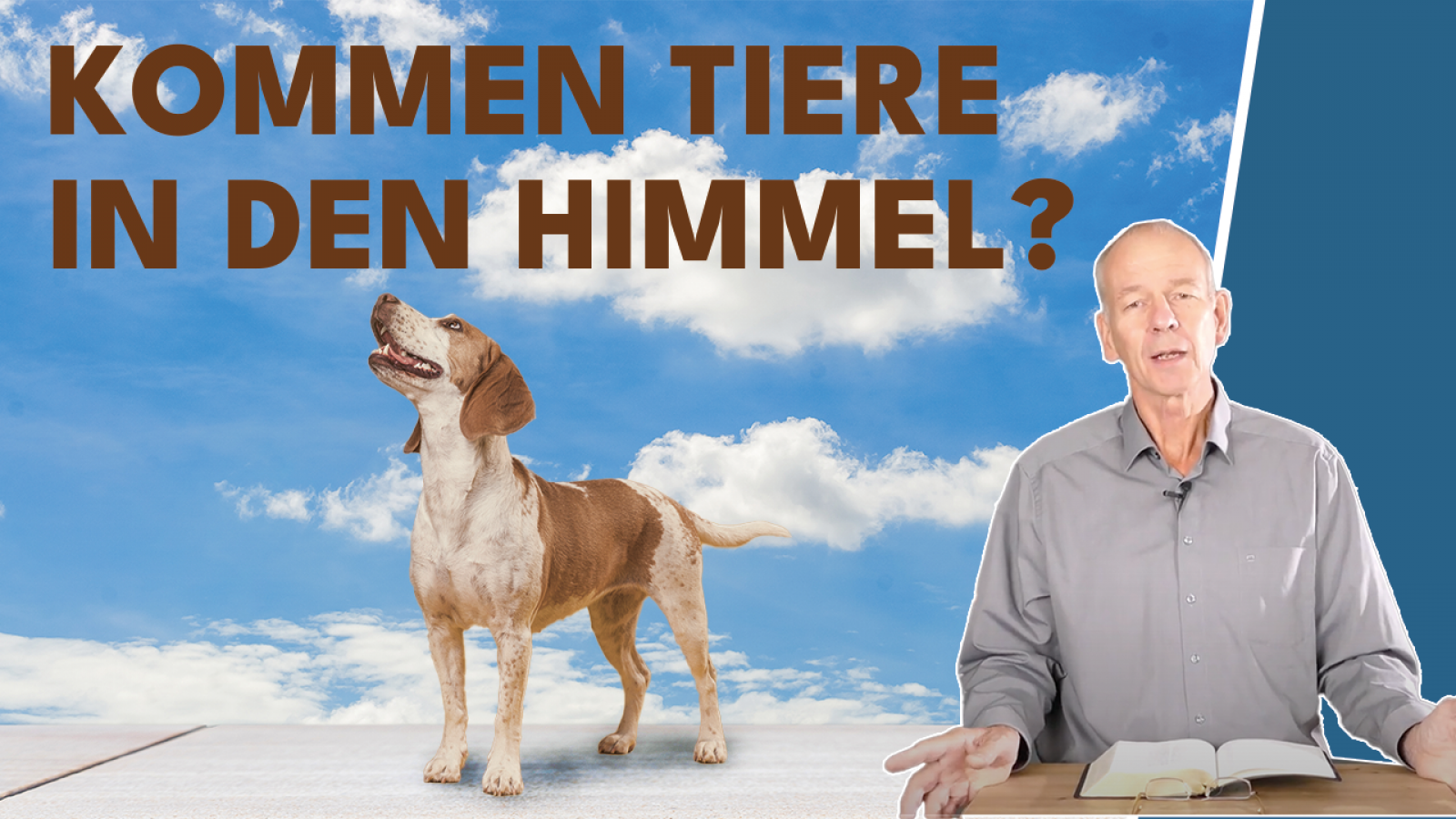 Kommen Tiere in den Himmel?