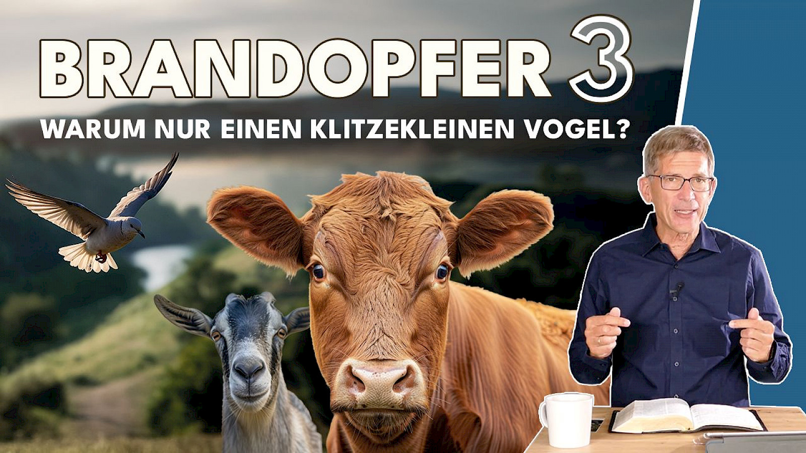 Warum brennt nicht alles gleich? – Die Wahrheit über die Unterschiede beim Brandopfer