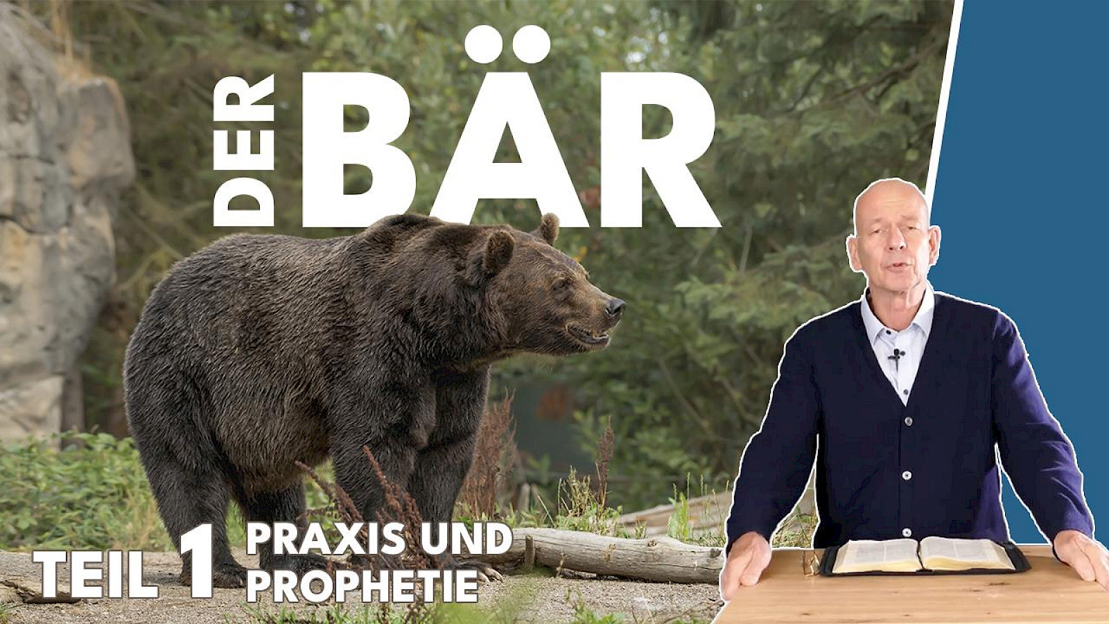 Tiere der Bibel - Der Bär